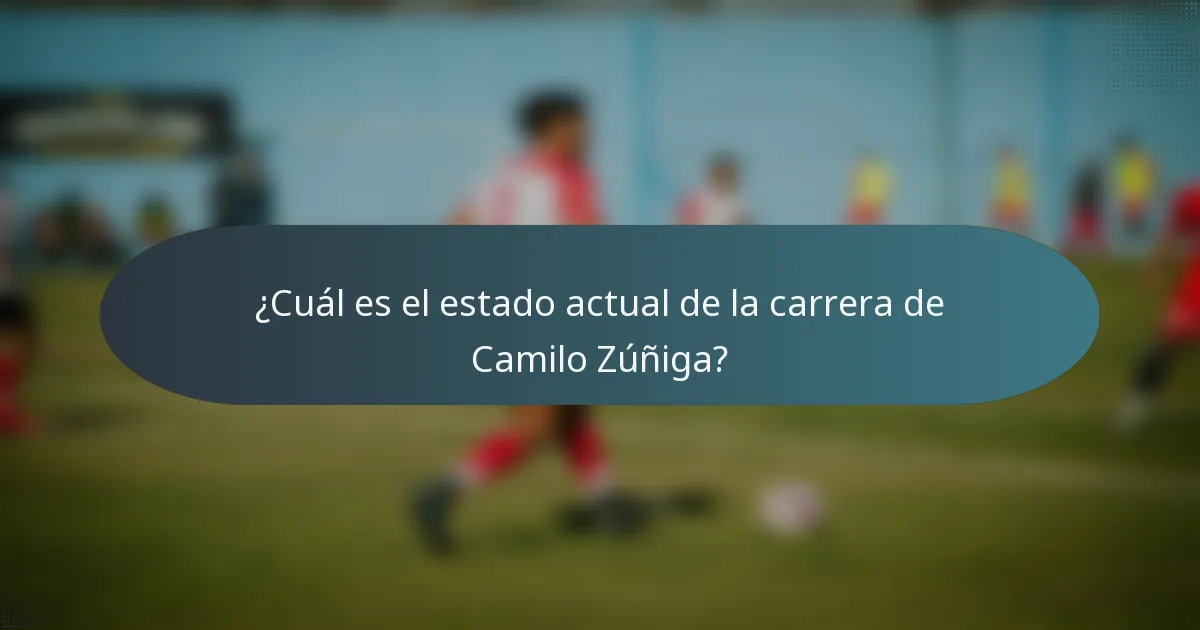 ¿Cuál es el estado actual de la carrera de Camilo Zúñiga?
